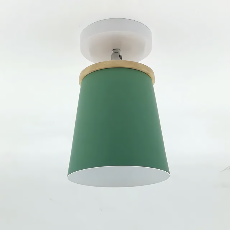 Circular Flush Mount LED Ceiling Light Fixture