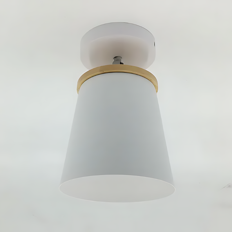 Circular Flush Mount LED Ceiling Light Fixture