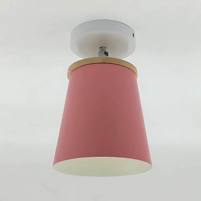 Circular Flush Mount LED Ceiling Light Fixture